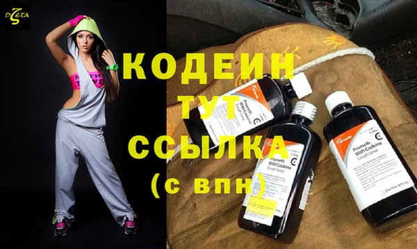 дмт Новодвинск