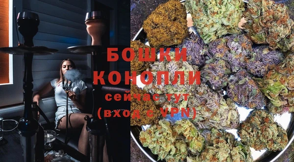 дмт Новодвинск
