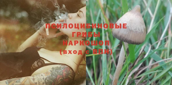 герыч Новозыбков