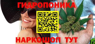 стаф Изобильный