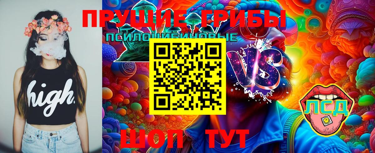 Псилоцибиновые грибы GOLDEN TEACHER  Светлоград  Галлюциногенные грибы Magic Shrooms 