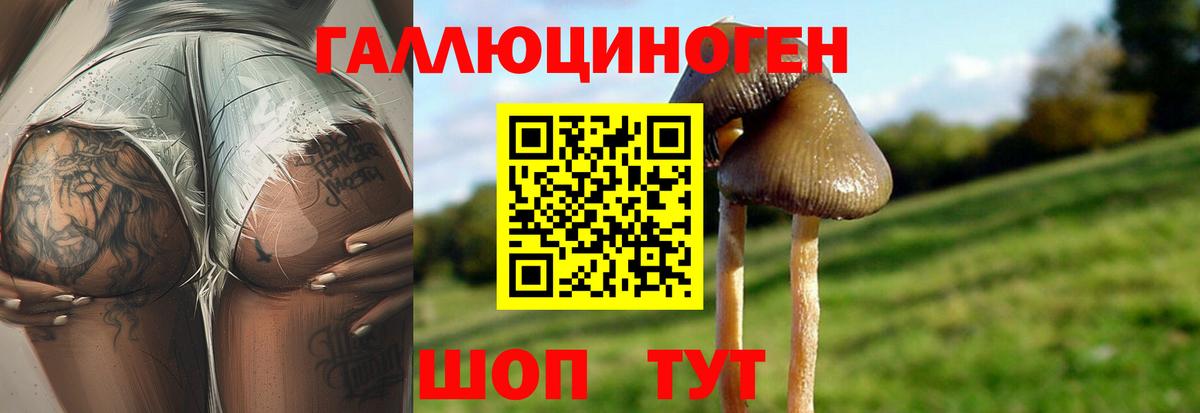 Псилоцибиновые грибы Magic Shrooms  Псилоцибиновые грибы Cubensis  Вход с VPN  Светлоград 